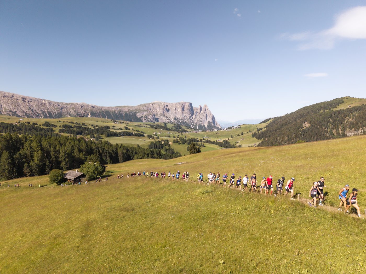 Seiser Alm Halbmarathon: Bergwiese